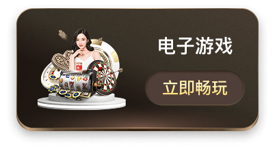 电子游戏